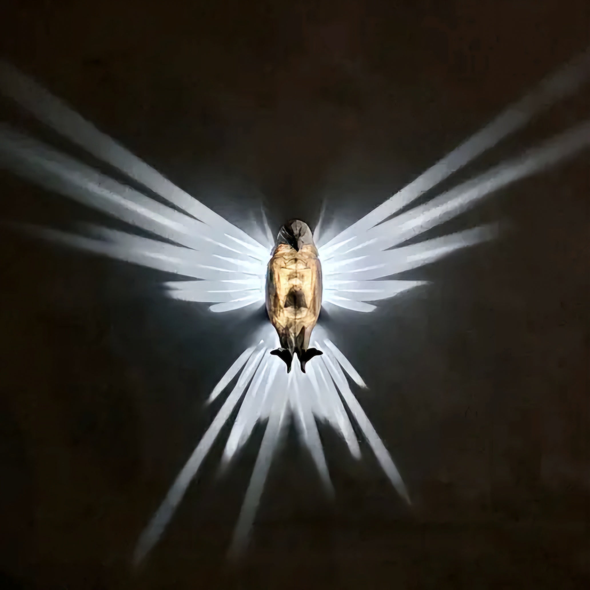 Wall lamp shadow